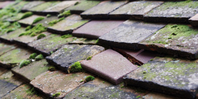 Kearsley roof repair costs